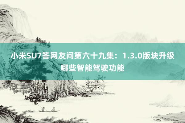 小米SU7答网友问第六十九集：1.3.0版块升级哪些智能驾驶功能