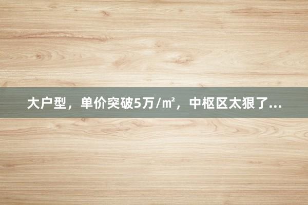 大户型，单价突破5万/㎡，中枢区太狠了...