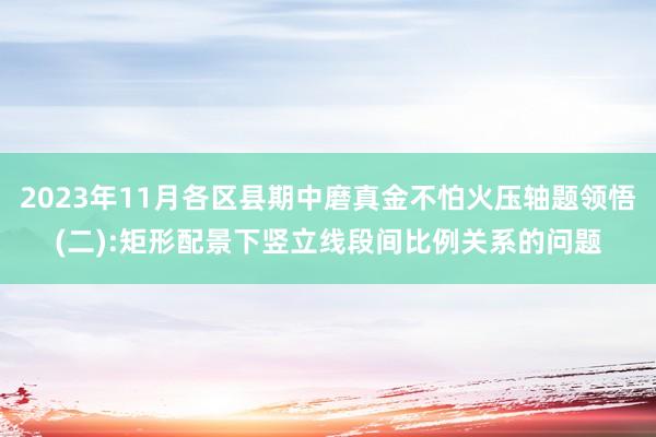 2023年11月各区县期中磨真金不怕火压轴题领悟(二):矩形配景下竖立线段间比例关系的问题