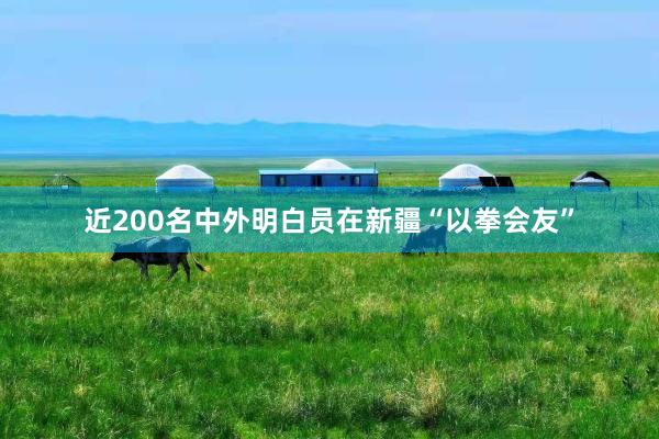 近200名中外明白员在新疆“以拳会友”