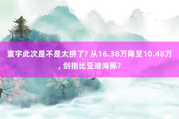 寰宇此次是不是太拼了? 从16.38万降至10.48万, 剑指比亚迪海豚?