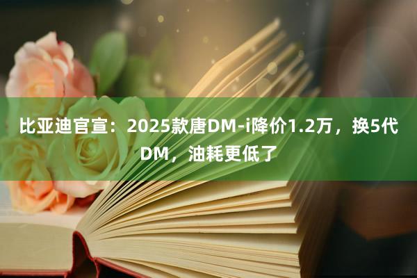 比亚迪官宣：2025款唐DM-i降价1.2万，换5代DM，油耗更低了