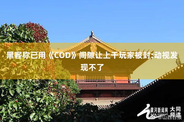 黑客称已用《COD》间隙让上千玩家被封:动视发现不了